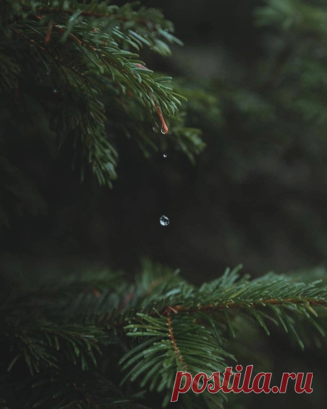 i (1080×1350)