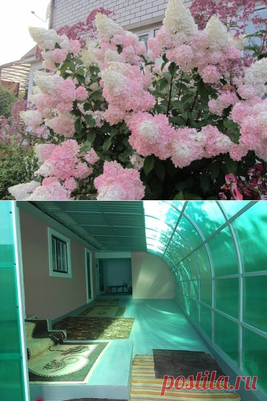Одноклассники