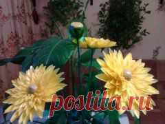 МК ГЕОРГИНЫ.http://ok.ru/profile/519178593901/album/665808230765