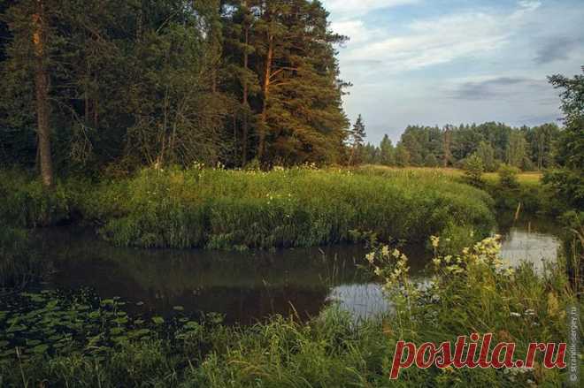 Времена года | Природа планеты в объективе