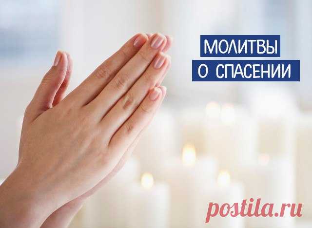Молитвы о спасении... 
В жизни случаются ситуации, когда остается надеяться только на свою веру и помощь Бога. Молитвы о спасении души и тела способны помочь в самых сложных обстоятельствах.
Каждый православный человек зна…