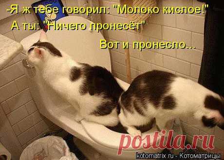 р7