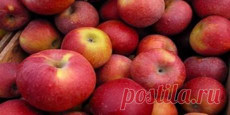 Яблочные блины : Выпечка : Кулинария : Subscribe.Ru