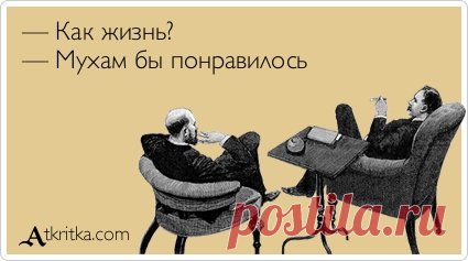 ВЕСЕЛЫЕ АТКРЫТКИ С ТЕКСТОМ