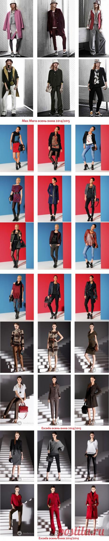 Модная одежда осень и зима 2014/2015 - 160 фото!