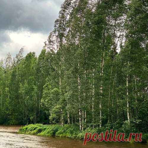Astropilot, Eternal Meadows, Tish' - Wind Carves Quiet free download mp3 music 320kbps