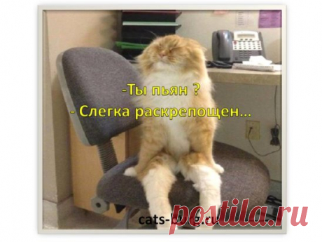 (16) Одноклассники