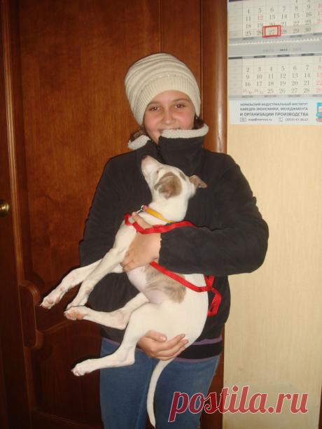 Ты да я, да мы с тобой!