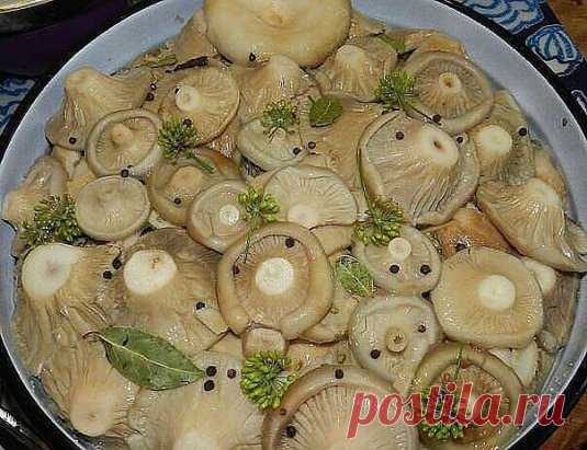 8 ВКУСНЫХ РЕЦЕПТОВ ЗАСОЛКИ ГРУЗДЕЙ!