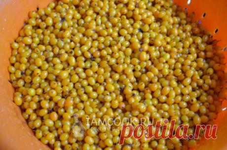 Облепиховый мед — рецепт с фото пошагово