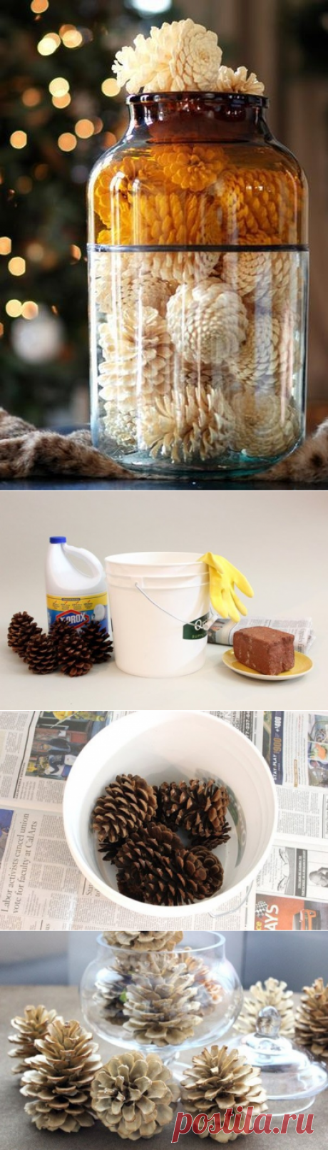 Как отбелить сосновые шишки