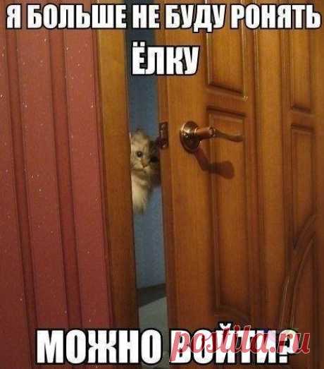 Светлана Боброва - Рубцовск, Алтайский край, Россия, 37 лет на Мой Мир@Mail.ru