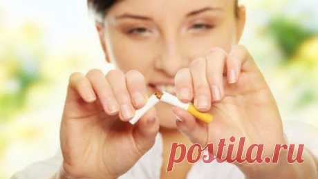 (+1) тема - 25 Советов, которые помогут вам бросить курить | Среда обитания
Преодоление привычки курения может казаться сложной и даже невыполнимой задачей. Тем не менее, есть те, кто с успехом отказываются от того, что многие считают самой сложной для бросания вредной привычкой. Ниже представлены 25 советов, которые помогут вам отказаться от курения.