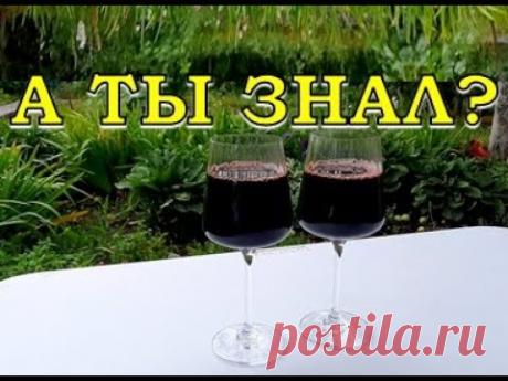 ВИШНЕВОЕ ВИНО – секреты приготовления🍷🍷🍷 Как отделить ягоду от косточек легко🍒🍒🍒