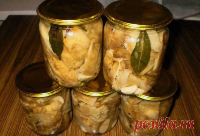 Грузди на зиму в банках - 10 простых рецептов заготовок с пошаговыми фото