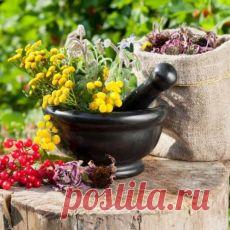 Письмо «❀ Японские ажуры. Антираковый сбор. Виноград без хлопот. Рулетики из кабачков. Стрижки для полных. Поддельная техника» — Постила — Яндекс.Почта