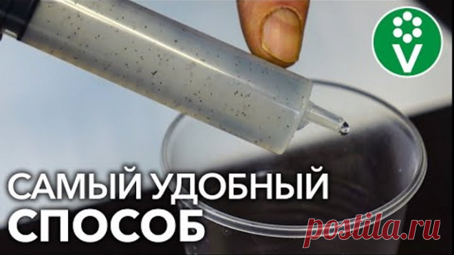 Простая ХИТРОСТЬ ПРИ ПОСЕВЕ МЕЛКИХ СЕМЯН от опытных цветоводов!