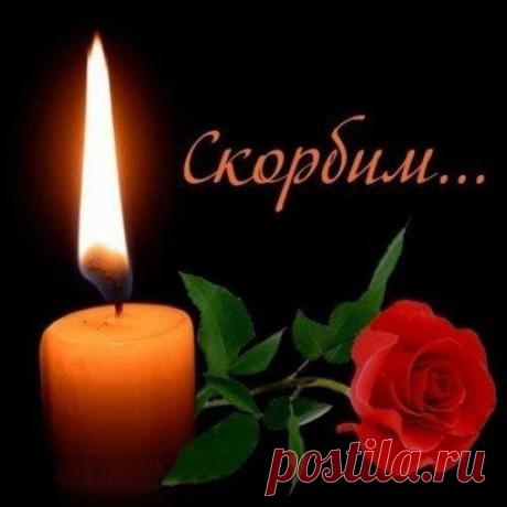 (24) Одноклассники