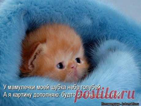 (15) Мой Мир@Mail.Ru