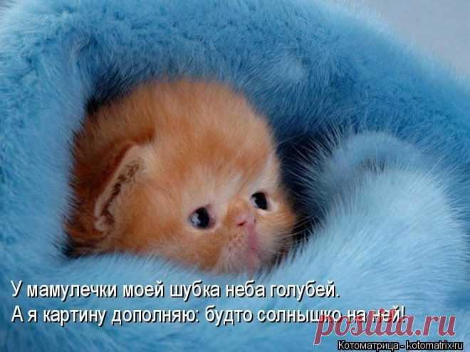 (15) Мой Мир@Mail.Ru