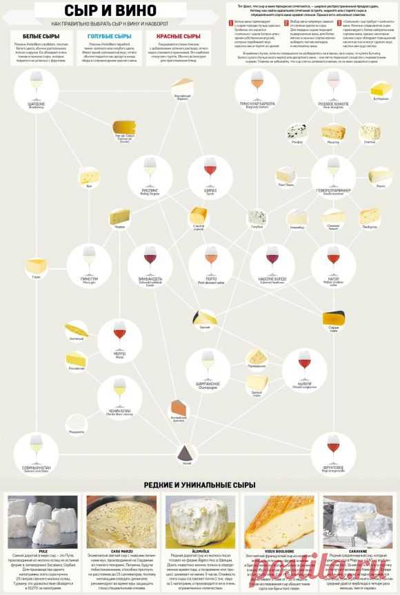 Полезная информация, как правильно выбрать сыр к вину