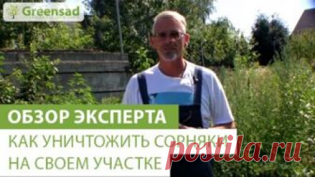 Как уничтожить сорняки на своем участке