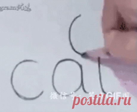Учимся рисовать или учим деток. Как просто нарисовать кота.