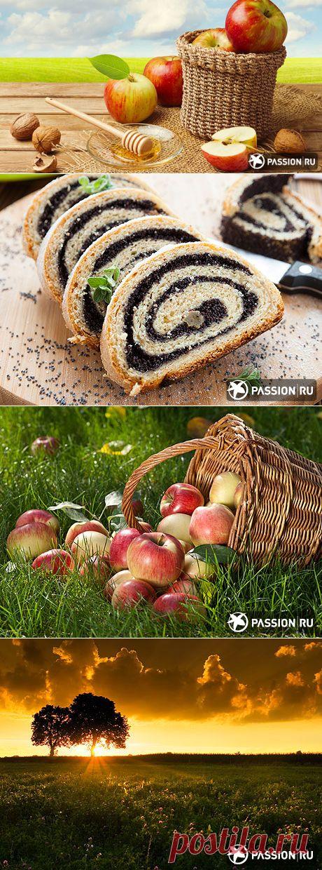 Как и когда праздновать три Спаса: Медовый, Яблочный, Ореховый в августе. | Приветствуем ВАС на сайте ГАЛАКТИКА