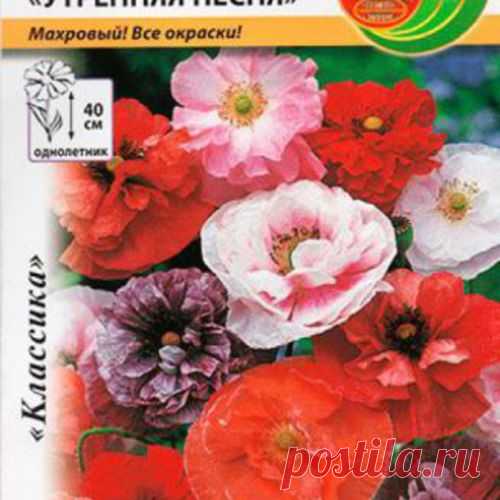 Семена. Подсолнечник декоративный 