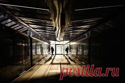 В России запустят новые поезда «Ласточка» без западных деталей. Российские железные дороги (РЖД) запустят первый импортозамещенный аналог электропоезда «Ласточка». Поезд с новым названием «Финист» начнет курсировать с 28 декабря. Он перевезет пассажиров из Екатеринбурга в Каменск-Уральский. Название нового поезда было выбрано в ходе народного голосования.