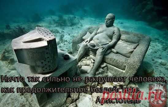 (48) Одноклассники
