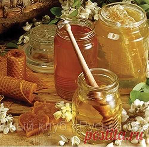 Лечение продуктами пчеловодства, или апитерапия