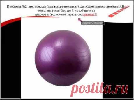 Микромир внутри и вокруг нас