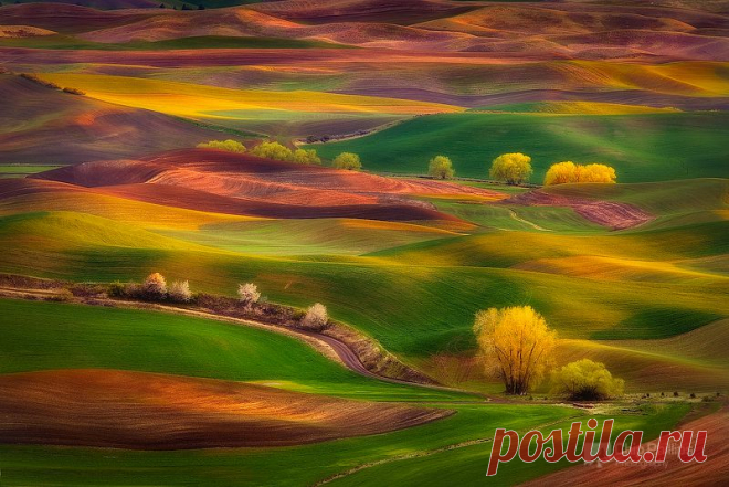 500px / Sunset Glow, Palouse Чип Филлипс