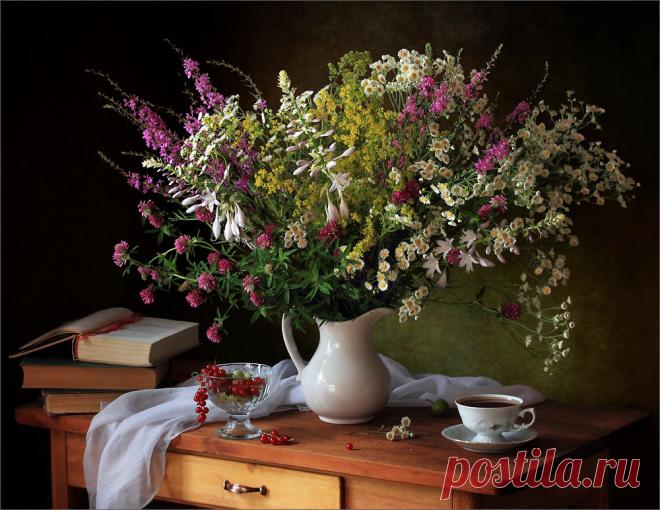 «ФОТОНАТЮРМОРТЫ / STILL LIFE» — карточка пользователя кристина б. в Яндекс.Коллекциях