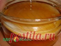 Чайный гриб - комбуча купить за 200 руб. Японский чайный гриб — это древнейший организм, который используется человеком для приготовления чайного кваса. Растет в подслащенном чайном растворе.