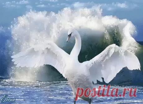 (99+) Одноклассники