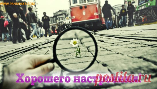 (26) Одноклассники