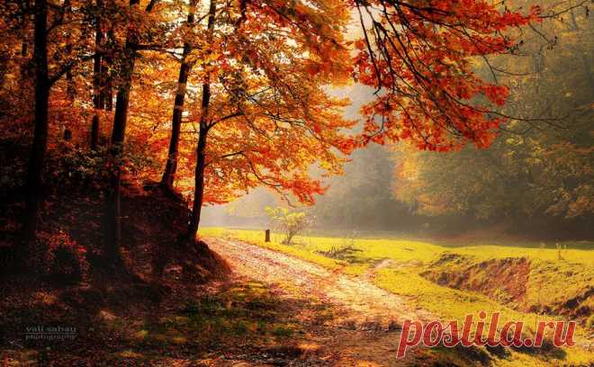 Road