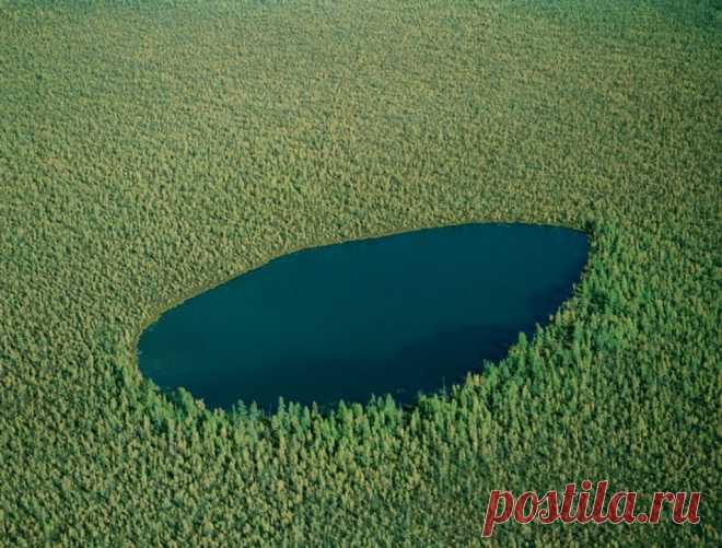 Лесное озеро, место не тронутое человеком