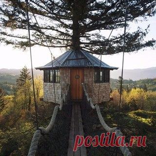 ☮-☮-Hippy Bus! (Volkswagen-bus Transporter T1/Т2