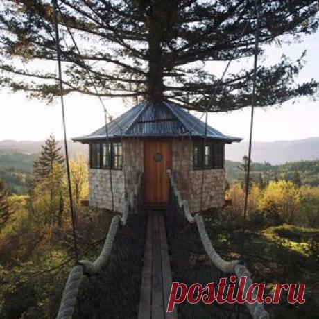 ☮-☮-Hippy Bus! (Volkswagen-bus Transporter T1/Т2