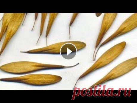 ПОДЕЛКИ из Природного Материала Своими руками Как сделать поделку из Природного материала. #поделки #поделкиизприродногоматериала #своимируками...