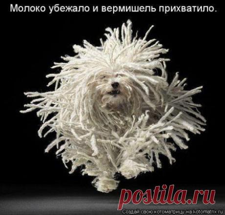 Интересные новости