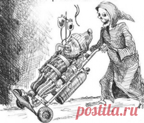Принципы ИСЦЕЛЕНИЯ организма: мы есть ТО, ЧТО у нас усваивается