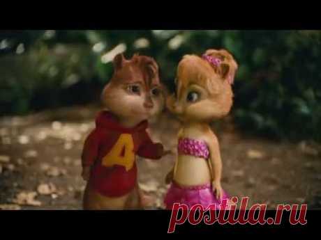 кавказские бурундуки)))Caucasian Chipmunks)))