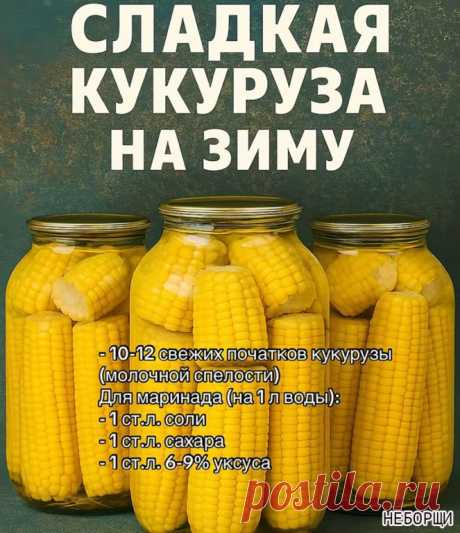 Сладкая кукуруза на зиму: вкус лета в каждой банке! Хотите сохранить сочность... | Интересный контент в группе НЕБОРЩИ