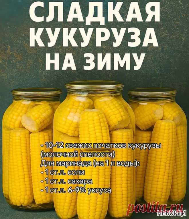 Сладкая кукуруза на зиму: вкус лета в каждой банке! Хотите сохранить сочность... | Интересный контент в группе НЕБОРЩИ