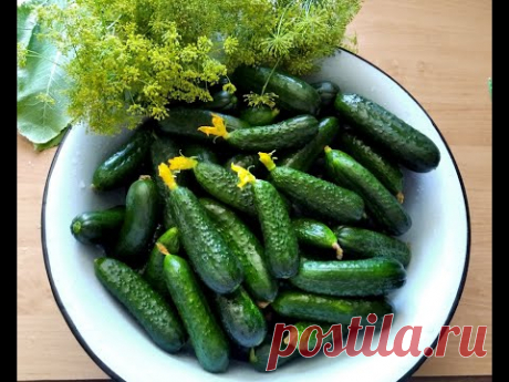 МАРИНОВАННЫЕ ОГУРЦЫ НА ЗИМУ. Рецепт, которому я не изменяю больше 30 лет/Pickled cucumbers