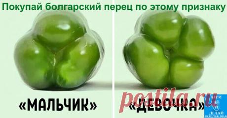 (9) Одноклассники